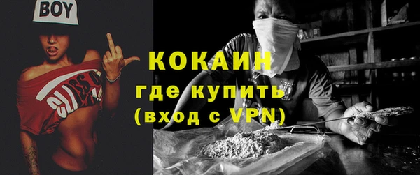 PSILOCYBIN Анжеро-Судженск