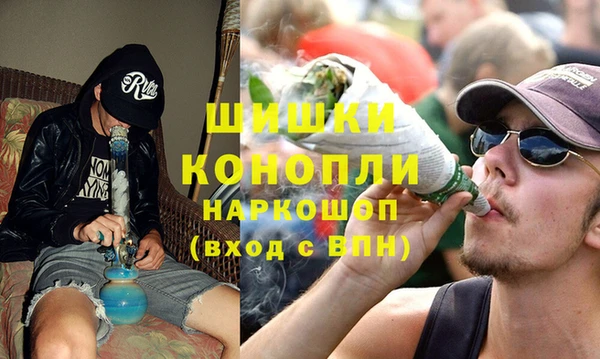 PSILOCYBIN Анжеро-Судженск