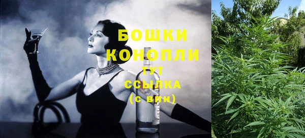 PSILOCYBIN Анжеро-Судженск